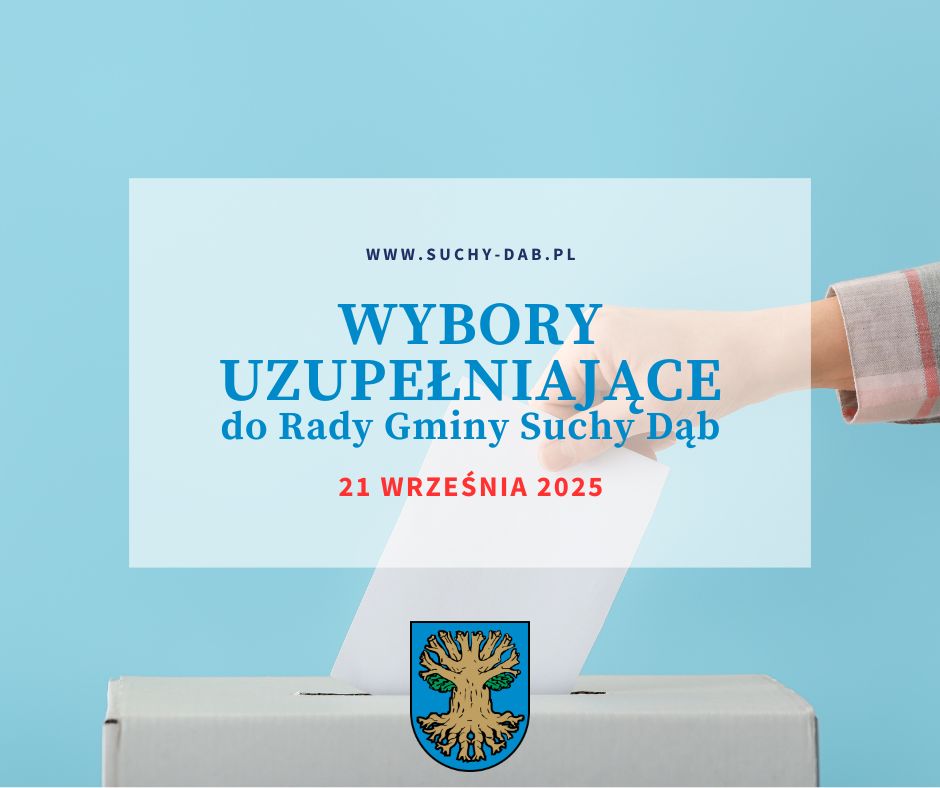 Wybory