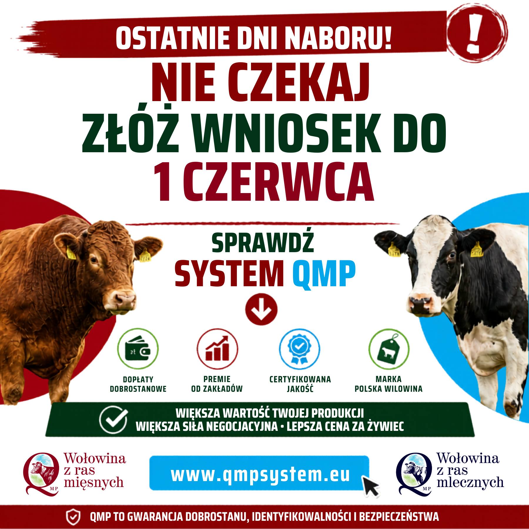 System QMP