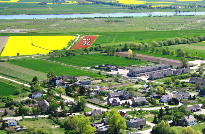 dziłka 52