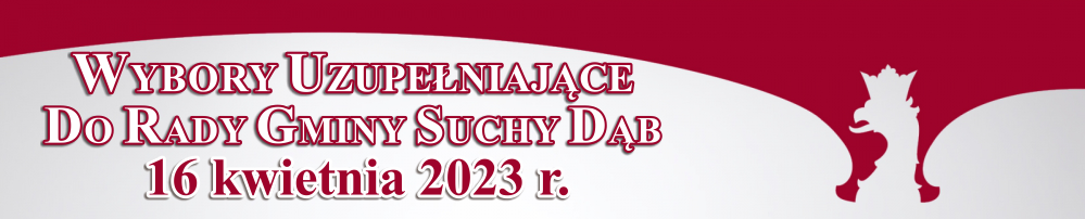 wybory samorzadowe 2023 uzupelniajace