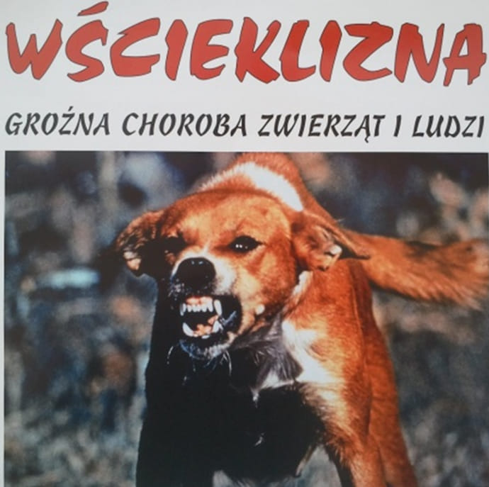 wscieklizna